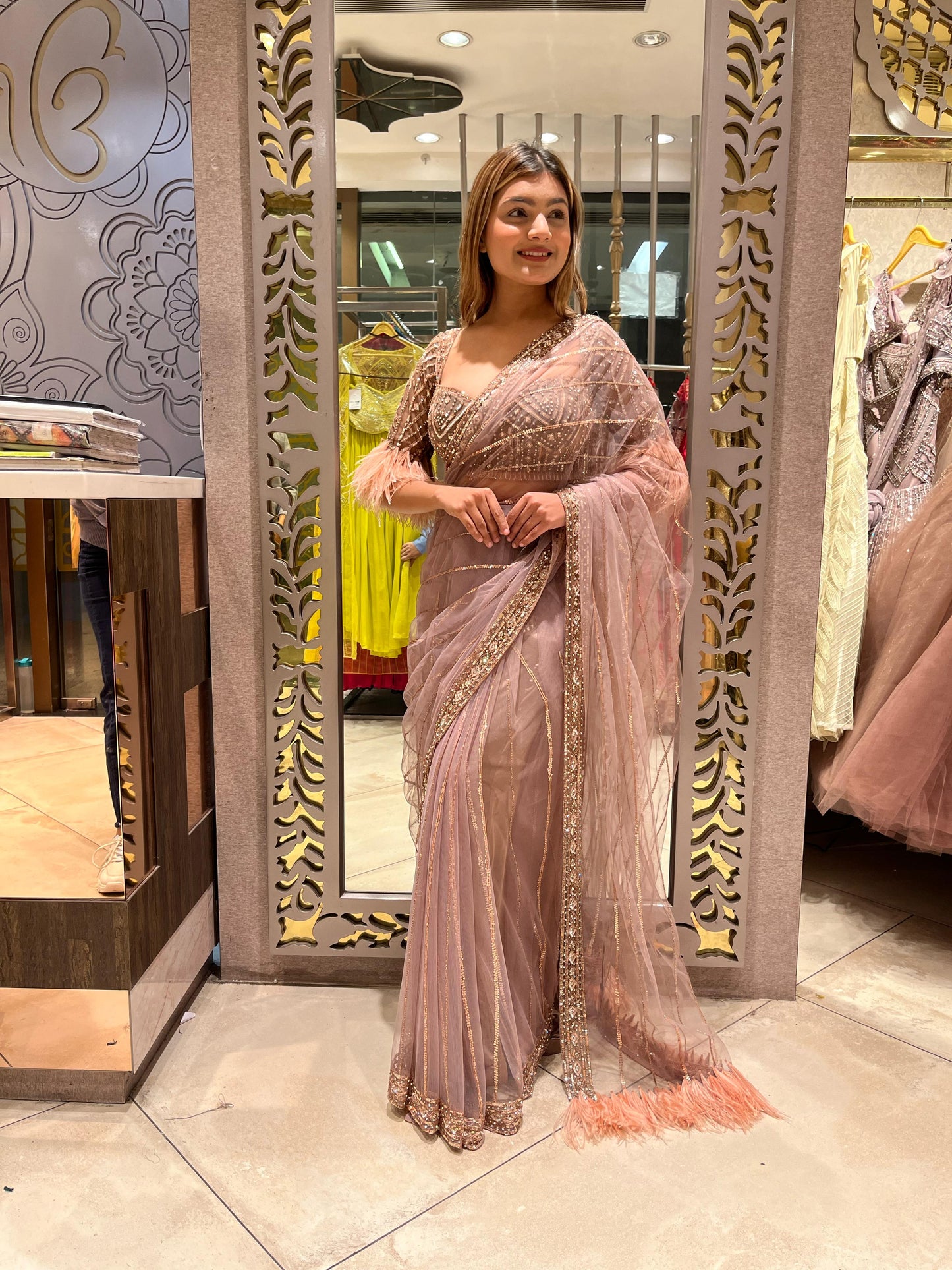 Traditional Saree with Royal Aesthetic