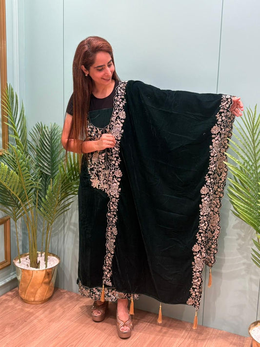 Winter elegance, velvet edition by MeharbyShrimati