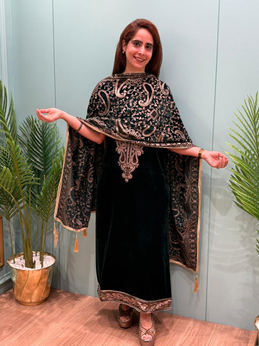 Winter elegance, velvet edition by MeharbyShrimati