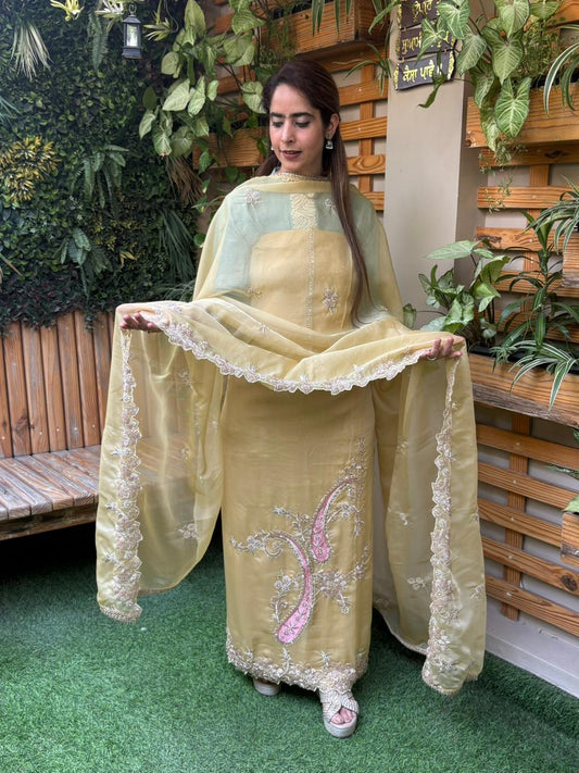 Elegant unstitched suit set
