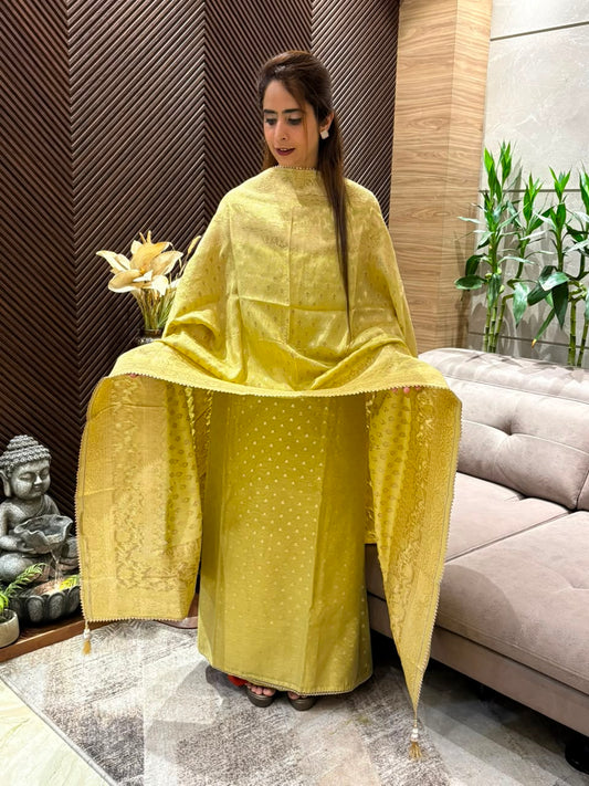 Luxurious Chandni silk shirt