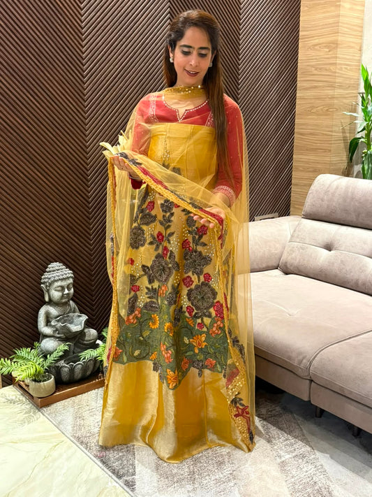 Elegant semi-stitched Anarkali suit