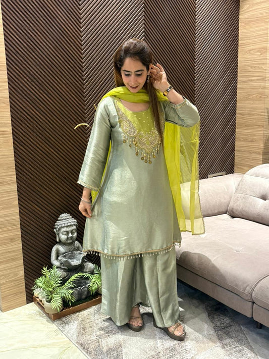 Elegant tissue silk kurta set