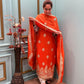Organza Shimmer featuring exquisite gota work
