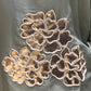 Chic Tissue Shimmer Cord-Set with floral appliqué detailing,