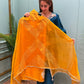 Crafted in organza shimmer fabric with rich gota patch work