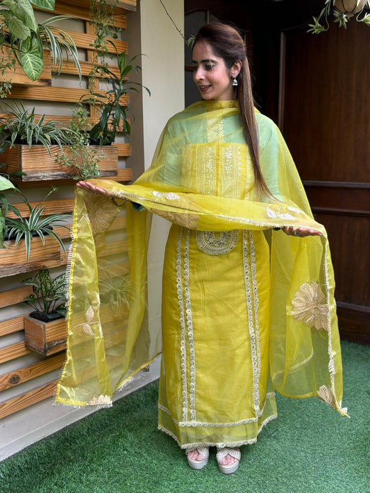 Stunning unstitched organza fabric suit