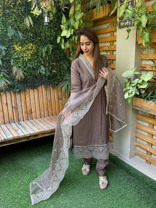 Elegant kurti set