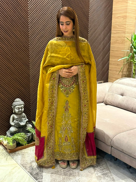 Pure organza silk fabric suit