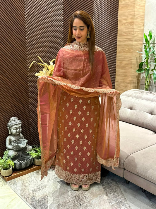 Premium tissue organza unstitched suit
